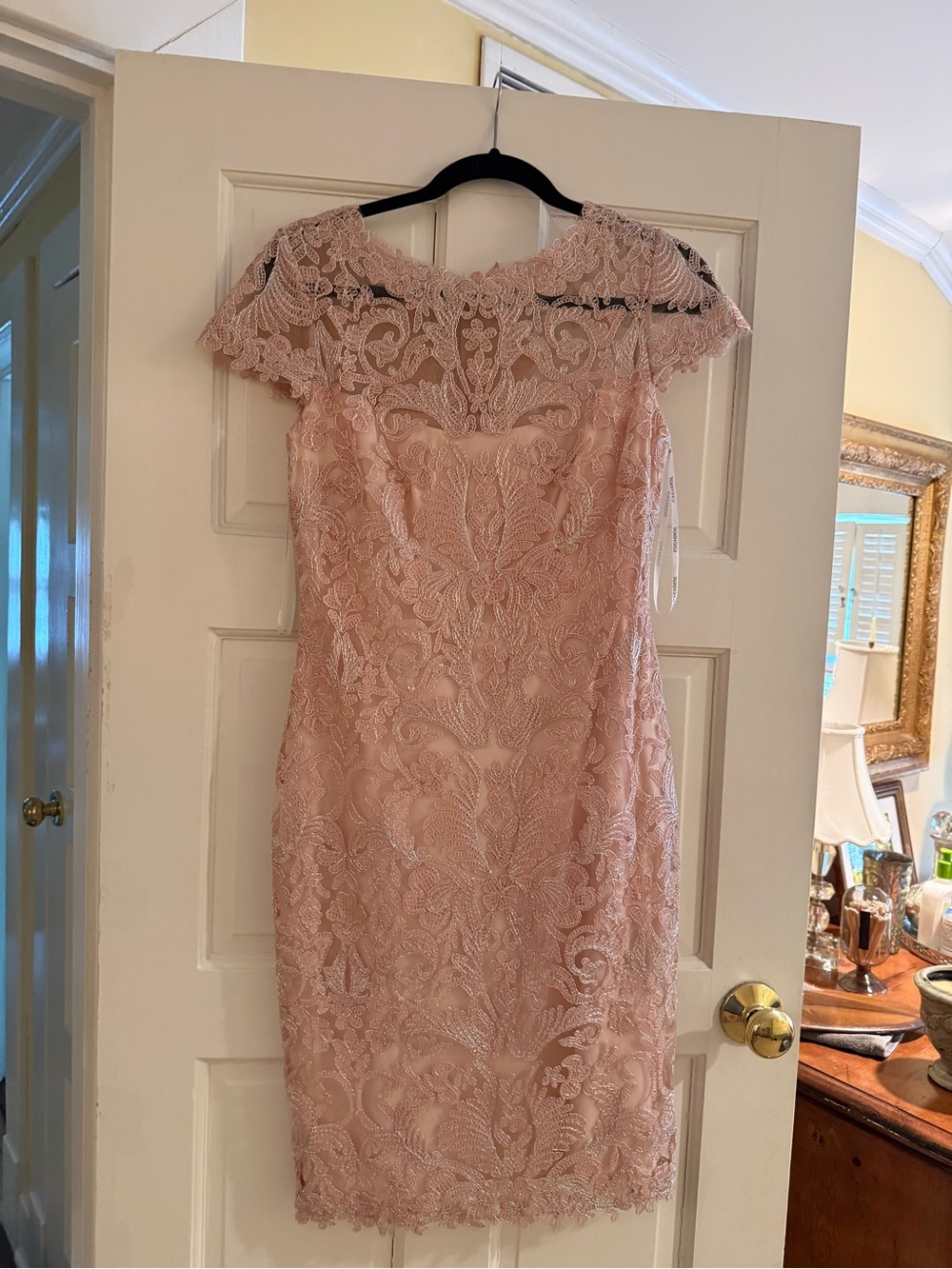 Tadashi Shoji Lace Sheath Dress - Blush Pink